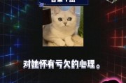 娱乐八卦开心吃瓜视频,开心吃瓜，揭秘明星幕后故事