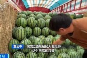 娱乐吃瓜蜀黍海苔咪,揭秘娱乐圈幕后故事